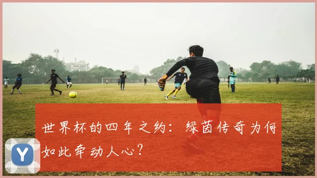 世界杯的四年之约：绿茵传奇为何如此牵动人心？